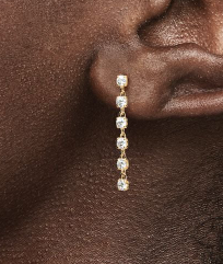 Sparkling Stones Drop Earrings