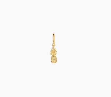 Pineapple Parker Charm