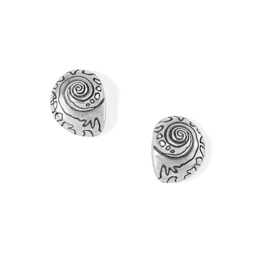 Shell Post Earrings
