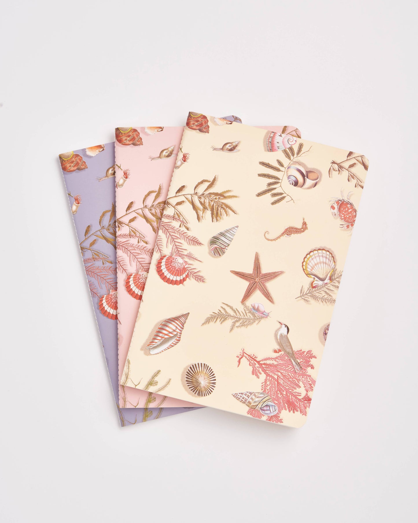FABLE Whispering Sands Notebooks - Pack Of 3