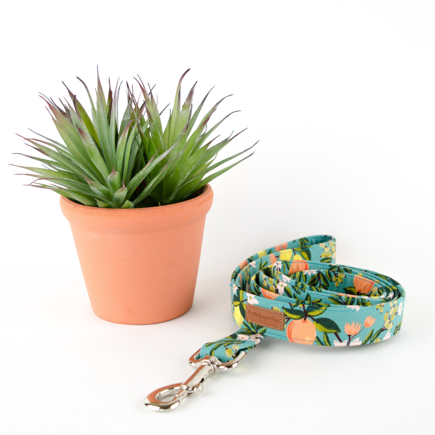 The Georgia Collar