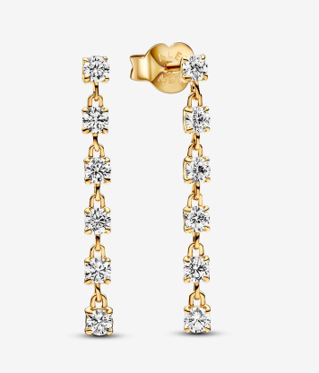 Sparkling Stones Drop Earrings