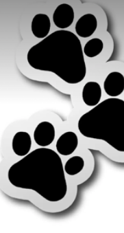 Paw Sticker