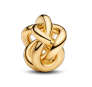 Infinity Knot Charm