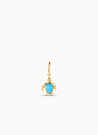 Turtle Parker Charm