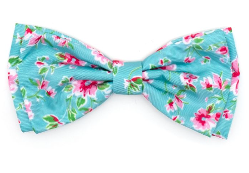 Watercolor Floral Bow Tie