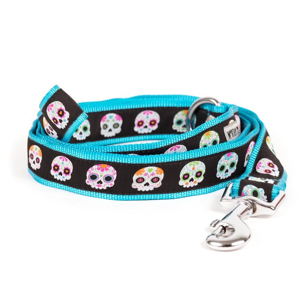 Skeletons Lead
